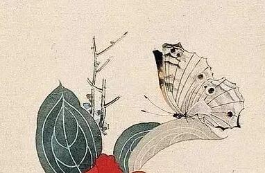 张大千高清工笔花鸟